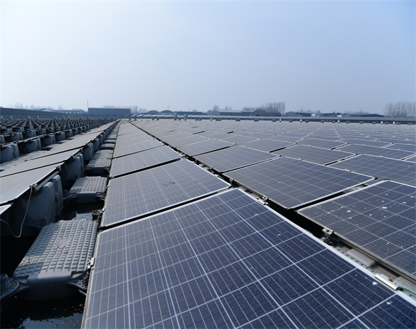 【綠證】價格推動升級！哪些企業必須買？如何交易？